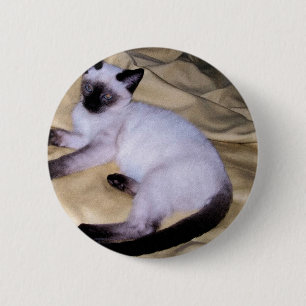Sandsteintierkunst-Haustier der siamesischen Katze Button