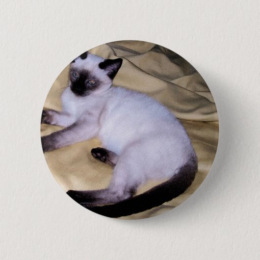 Sandsteintierkunst-Haustier der siamesischen Katze Button (Vorderseite)
