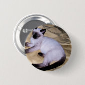 Sandsteintierkunst-Haustier der siamesischen Katze Button (Vorne & Hinten)