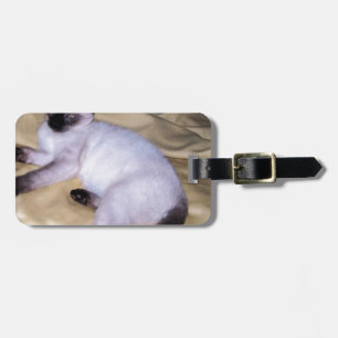 Sandsteintierkunst-Haustier der siamesischen Katze Gepäckanhänger