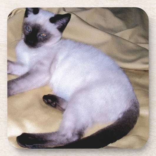 Sandsteintierkunst-Haustier der siamesischen Katze Untersetzer (Vorderseite)