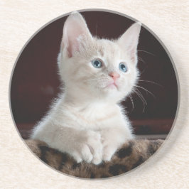 Sandstone Coaster lovers cats , for girls / gift Getränkeuntersetzer