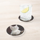 Sandstone Coaster lovers cats , for girls / gift Getränkeuntersetzer (Seite)