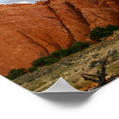 Sandstone Fins, Arches National Park, Utah Poster (Ecke)