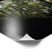 Sandstone Forest Arch Fotodruck (Ecke)