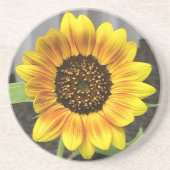 Sandstone Sunflower Untersetzer (Vorne)