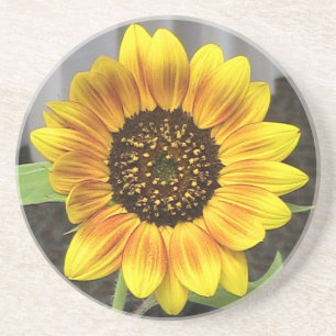 Sandstone Sunflower Untersetzer