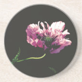 Sandstone Untersetzer (Vorne)