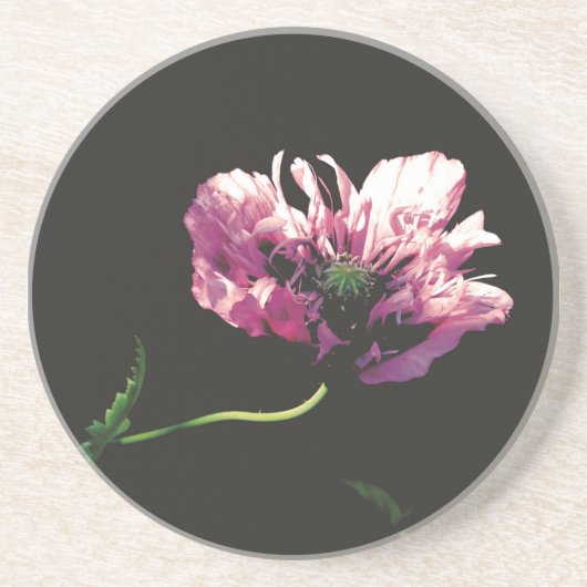 Sandstone Untersetzer (Vorne)