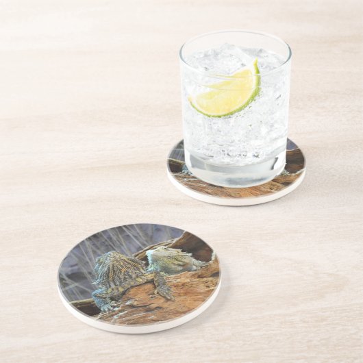 Sandstone Untersetzer mit zwei seltsamen Eidechsen (Seite)