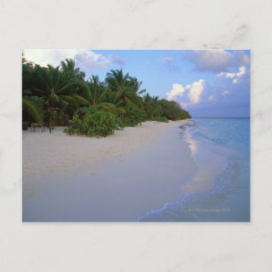 Sandstrand 7 postkarte