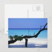 Sandstrand 8 postkarte (Vorne/Hinten)