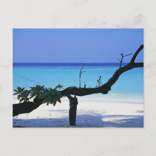 Sandstrand 8 postkarte (Vorderseite)