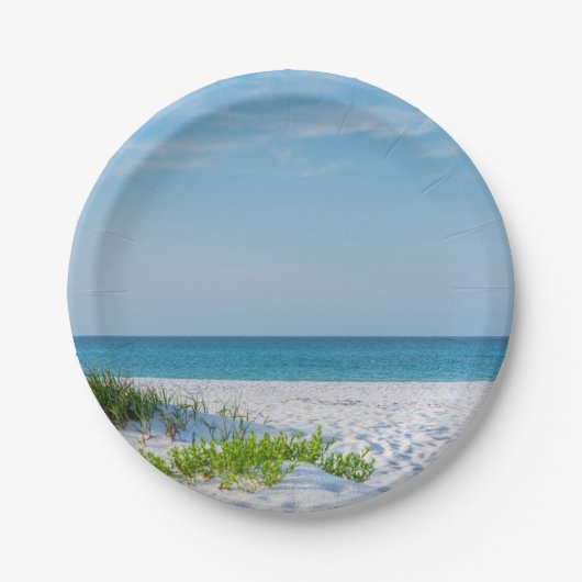 Sandstrand Florida Küste Pappteller (Vorderseite)