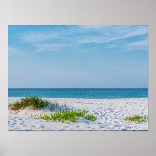 Sandstrand Florida Küste Poster (Vorne)