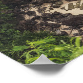 Sandstrand mit grünen Bäumen, Felsen und Ozean Poster (Ecke)