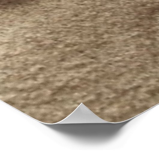 Sandstrand mit Muscheln und Starfish Poster (Ecke)