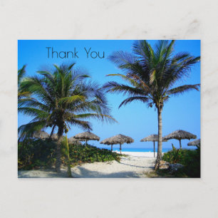 Sandstrand mit Palmen und Blick aufs Meer Postkarte