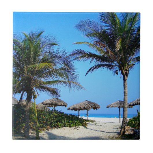 Sandstrand mit Palmen und Meerblick Fliese (Vorderseite)