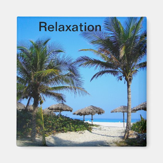 Sandstrand mit Palmen und Meerblick Magnet (Vorne)