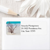 Sandstrand mit weißen Muscheln (Insitu)