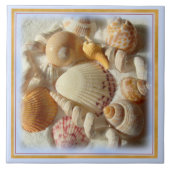 Sandstrand, Tropical Seashells Keramik Tile Fliese (Vorderseite)