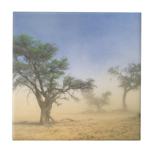 Sandsturm in der Kalahari-Wüste, Kgalagadi Fliese