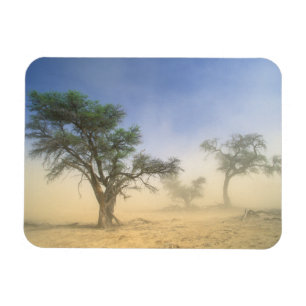 Sandsturm in der Kalahari-Wüste, Kgalagadi Magnet