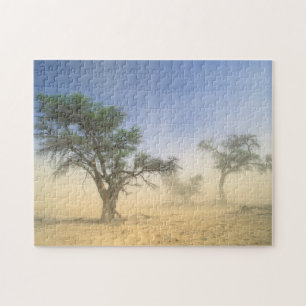 Sandsturm in der Kalahari-Wüste, Kgalagadi Puzzle