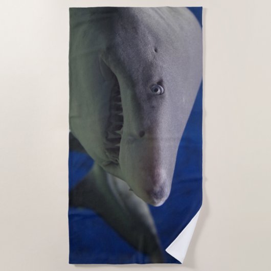 Sandtigerhaifisch Strandtuch (Vorderseite)