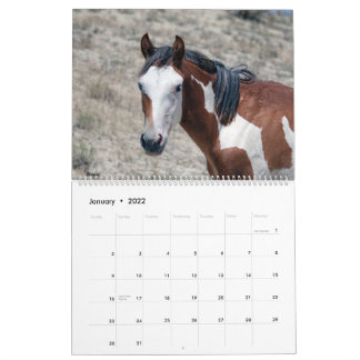 Sandwaschbecken - Kalender 2021