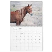 Sandwaschbecken - Kalender 2021 (Feb 2027)