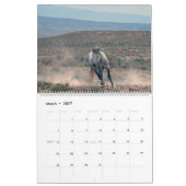 Sandwaschbecken - Kalender 2021 (Mär 2027)