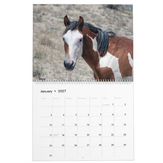 Sandwaschbecken - Kalender 2021 (Jan 2027)