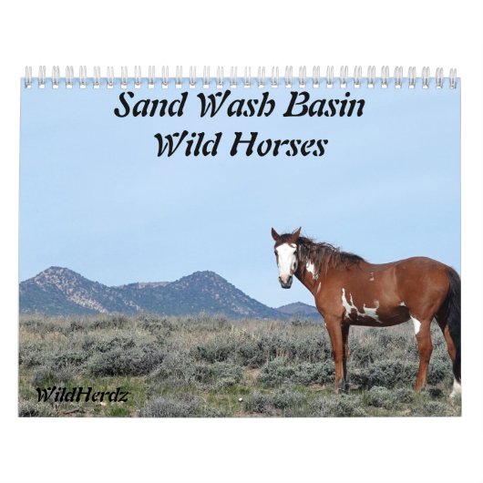 Sandwaschbecken Wilde Pferde Kalender (Titelbild)