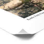 Sandweg durch die Mangroven Fotodruck (Ecke)