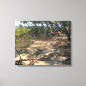 Sandweg durch die Mangroven Leinwanddruck (Vorderseite)