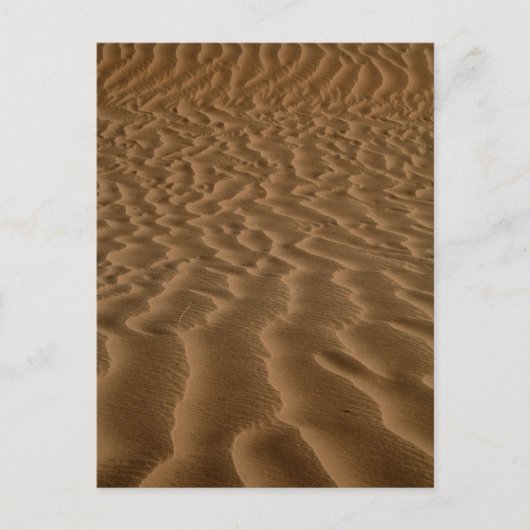 Sandwellen Postkarte (Vorderseite)