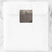 Sandwich-Inseln, Hawaii Quadratischer Aufkleber (Tasche)