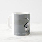 Sandwich-Seeschwalben auf Texas-Küste Kaffeetasse (Vorderseite Links)