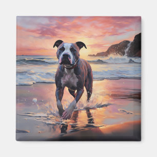 Sandy Amerikanischer Staffordshire Hund am Strand  Magnet