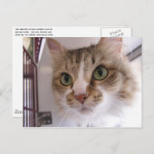 Sandy Ankündigungspostkarte (Vorne/Hinten)