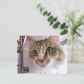 Sandy Ankündigungspostkarte (Stehend Vorderseite)