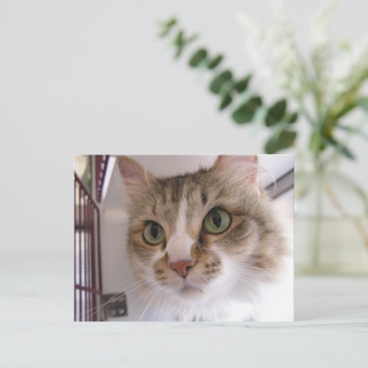 Sandy Ankündigungspostkarte (Stehend Vorderseite)