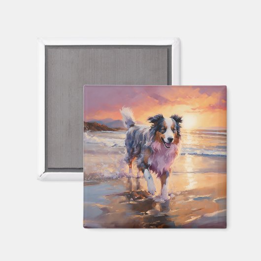 Sandy Australian Shepherd Dog on Beach Sunset Magnet (Vorderseite/Rückseite)