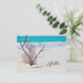 Sandy Beach mit White Seashells Hallo Postkarte (Stehend Vorderseite)