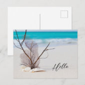 Sandy Beach mit White Seashells Hallo Postkarte (Vorne/Hinten)