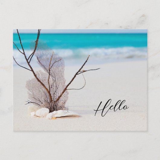 Sandy Beach mit White Seashells Hallo Postkarte (Vorderseite)