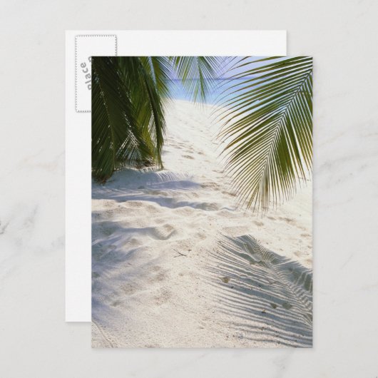 Sandy Beach Postkarte (Vorne/Hinten)