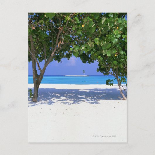 Sandy Beach Postkarte (Vorderseite)